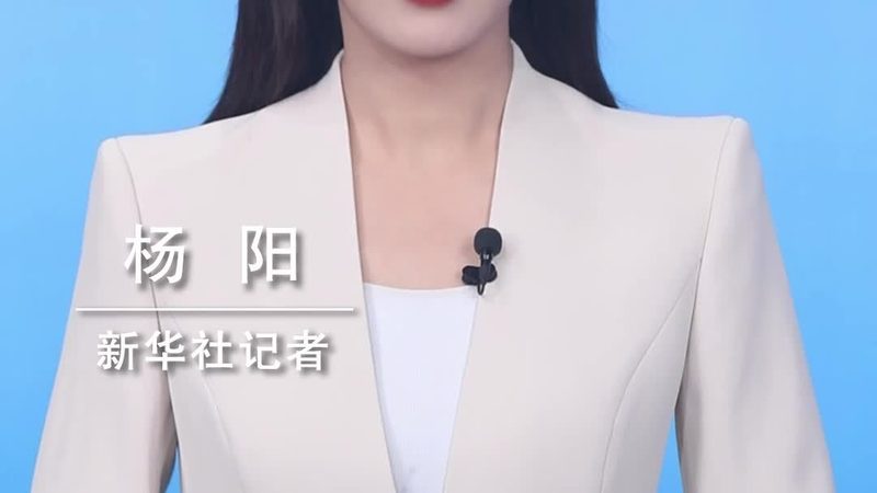 医疗大数据分析：如何助力精准医疗发展**